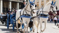 Oostenrijk, Steiermark - Wenen paardenkoets